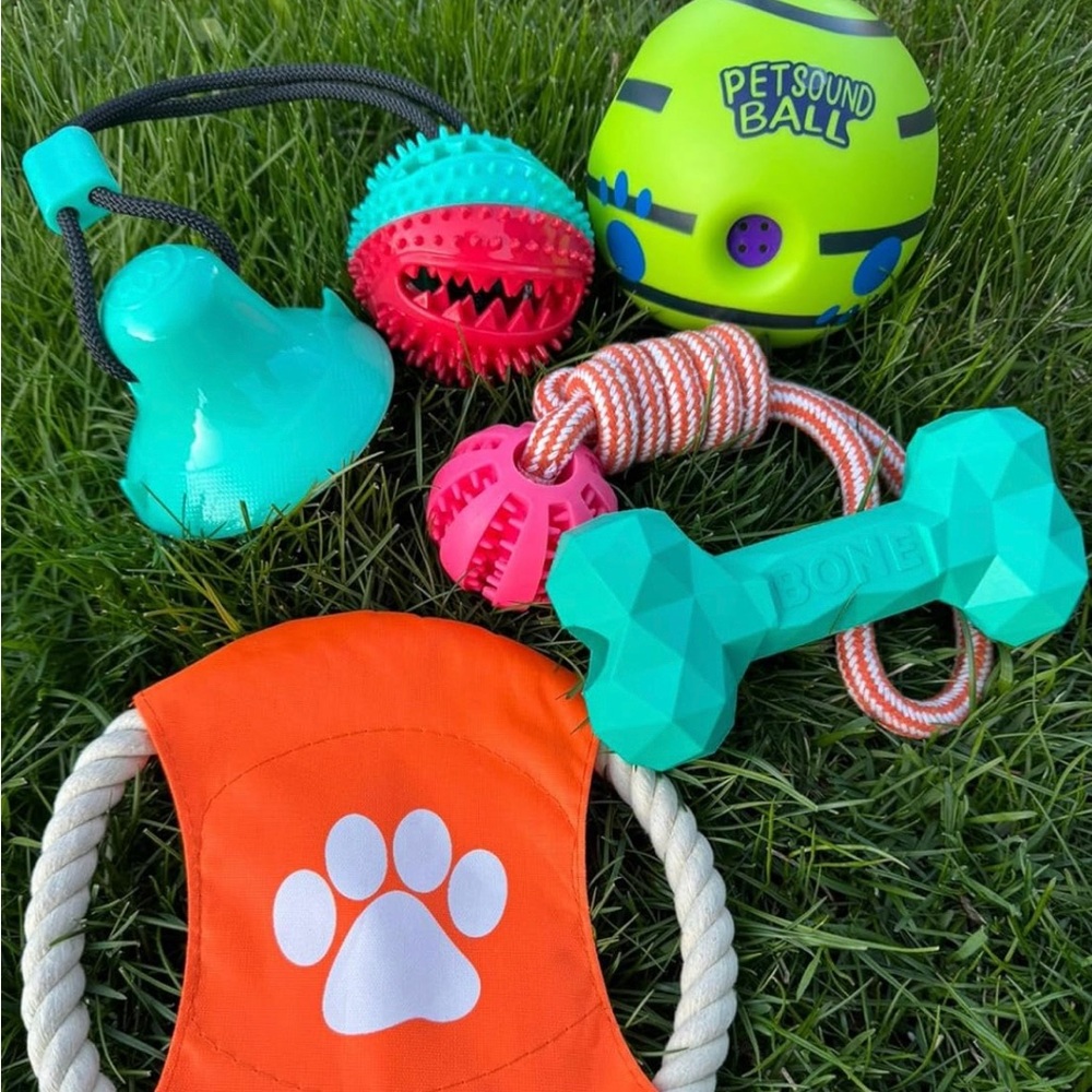 Premium Dog Toys, Assortment of Five Toys